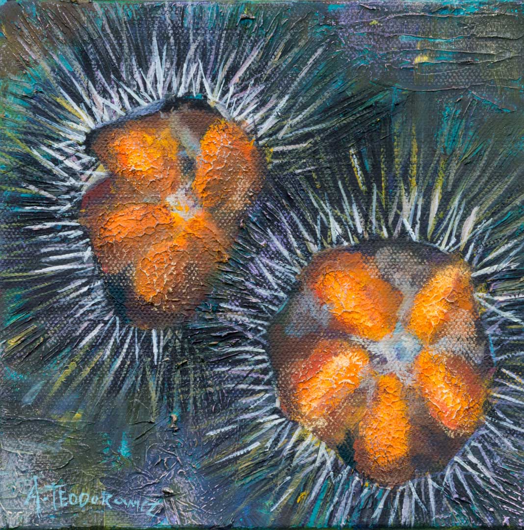 Urchins Seafood Painting Art Oil On Canvas Class
